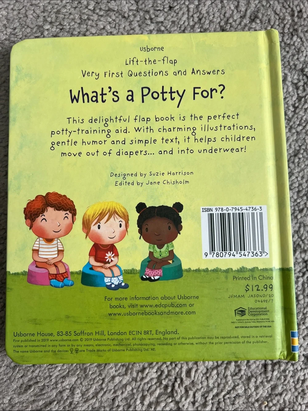 Usborne What's a Potty For? Lift-the-Flap Board Book - Blue